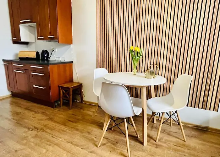 Jungle - Centrum * Gdynia